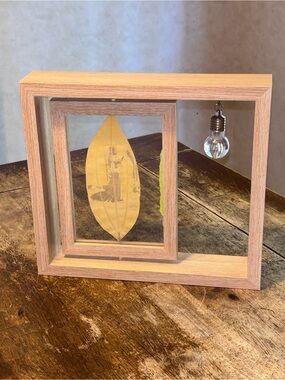 Botanical Shadow Box Pressed Skeleton Leaf Floating Wood Frame Light Decor